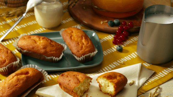 Plumcake 800 x 450 px