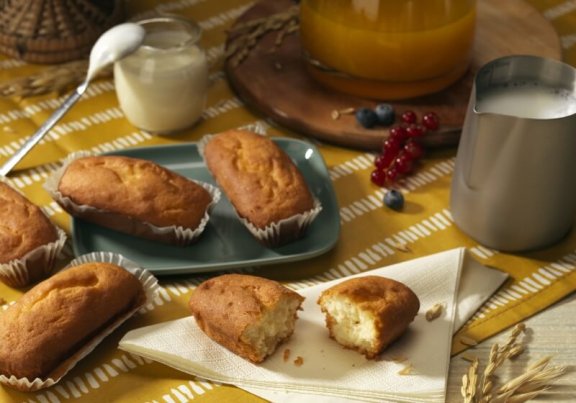 SCHAR_CAKES_Plumcake mobile