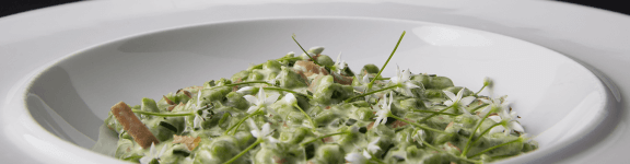 Rezept für glutenfreie Spinatspätzle - Glutenfreie Rezepte Rezept für glutenfreie Spinatspätzle - Glutenfreie Rezepte