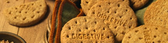 digestive-biscuit-header